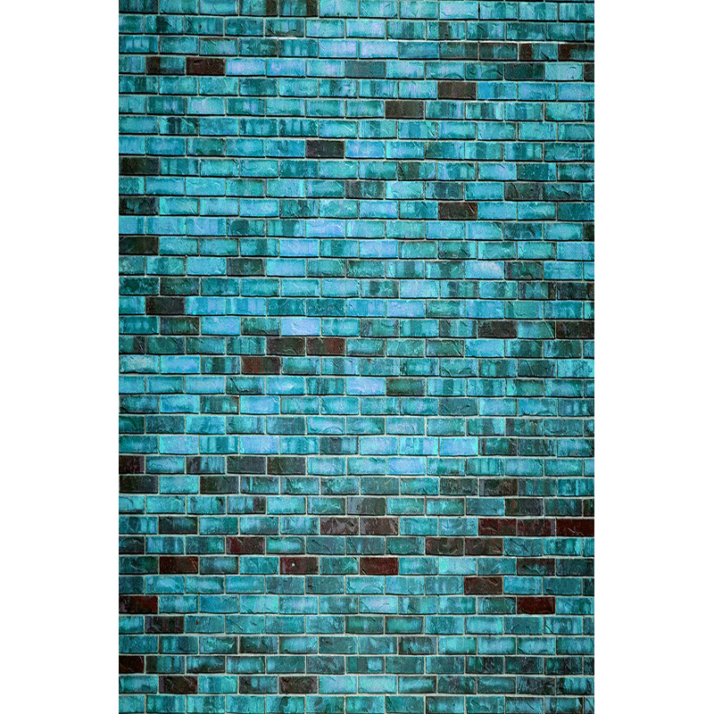 Vintage Brick Wall Grungy Phot - Baby Products Photos avis et prix