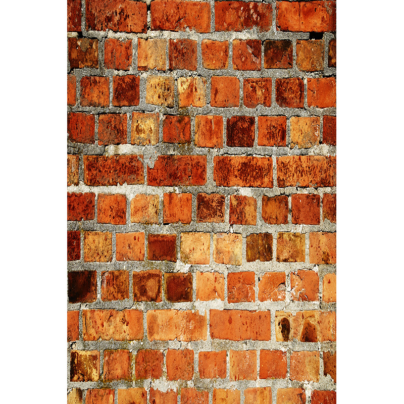 Vintage Brick Wall Grungy Phot - Baby Products Photos avis et prix