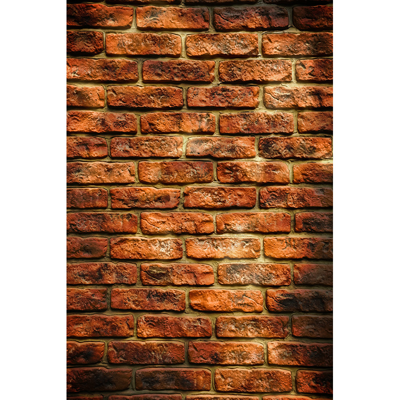 Vintage Brick Wall Grungy Phot - Baby Products Photos avis et prix
